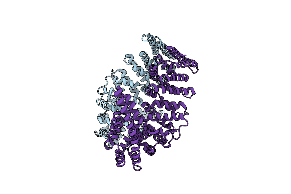 4MFV image