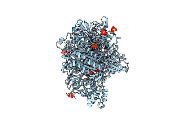4MGH image