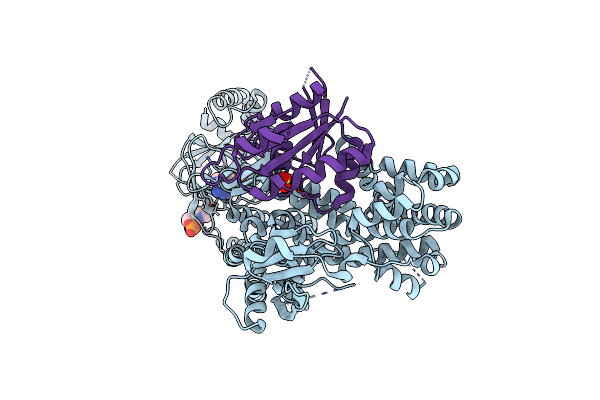 4MGI image