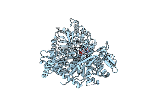 4MHO image