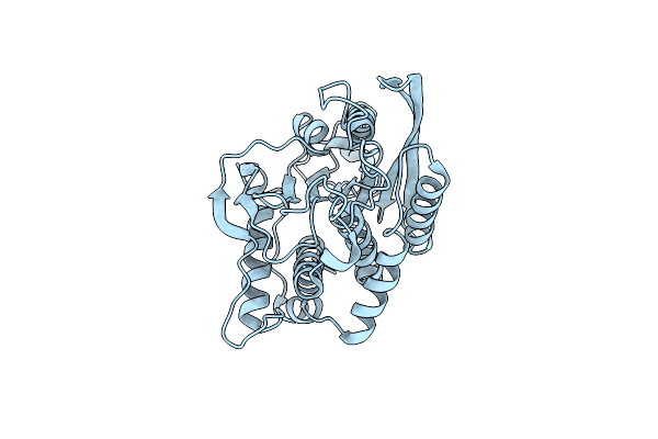 4MHP image