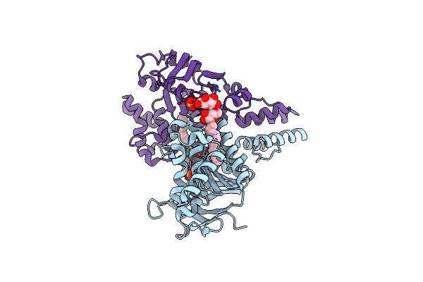 4MKI image
