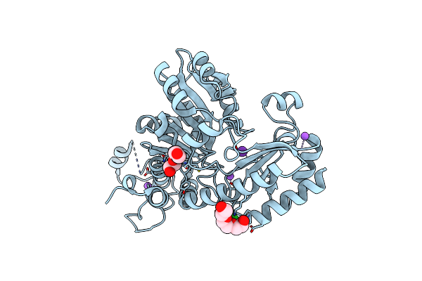 4MKK image
