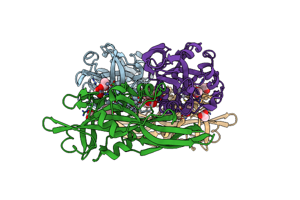 4MKO image