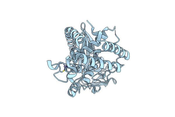 4MKP image