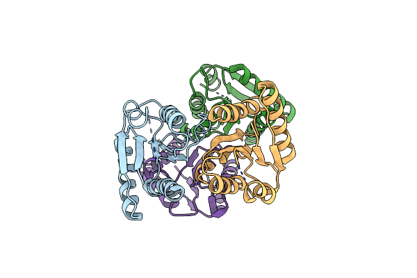 4ML3 image