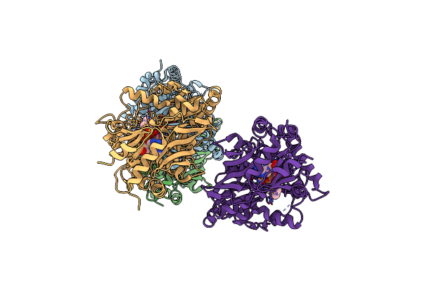 4ML8 image