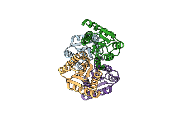4MLD image
