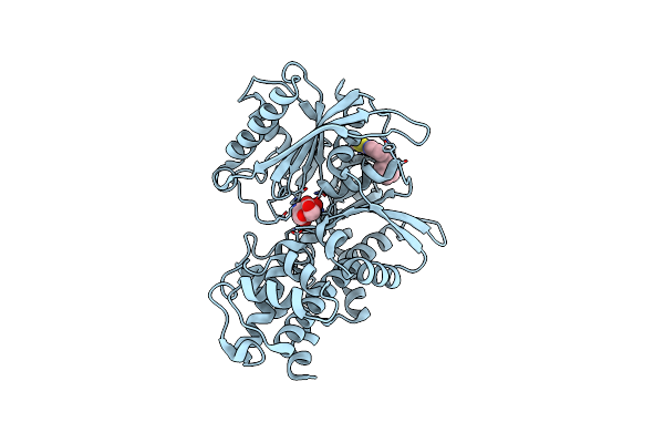 4MLE image