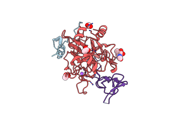 4MLF image