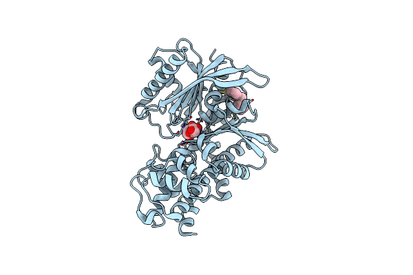 4MLH image