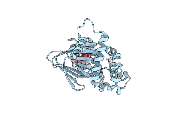 4MLO image