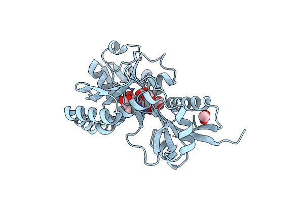 4MLQ image