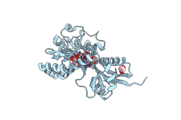 4MLV image