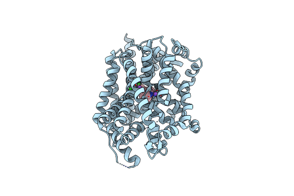 4MM5 image