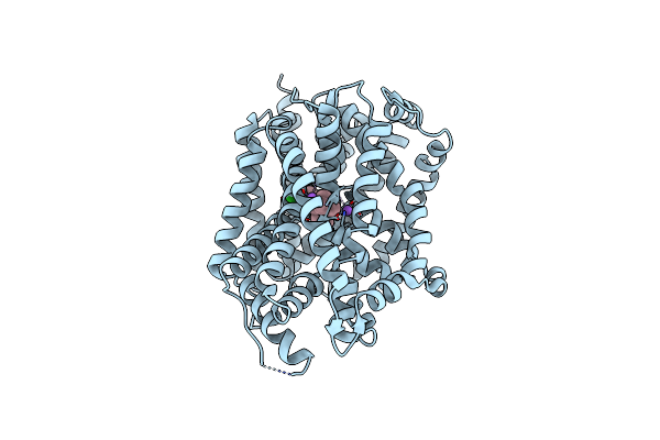 4MMA image