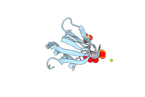 4MML image