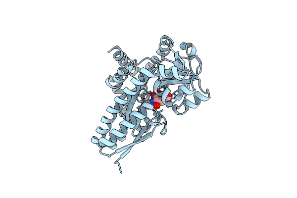 4MMP image