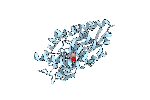 4MNI image