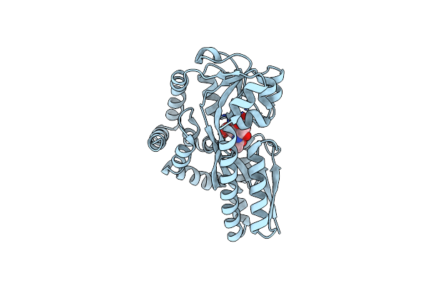 4MNP image
