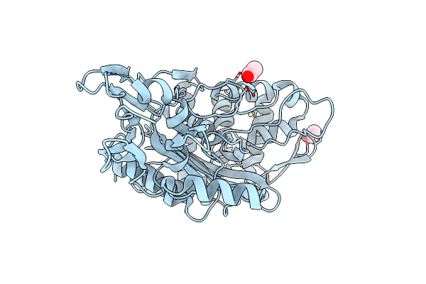 4MNR image