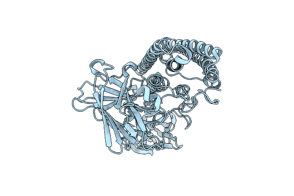 4MOA image