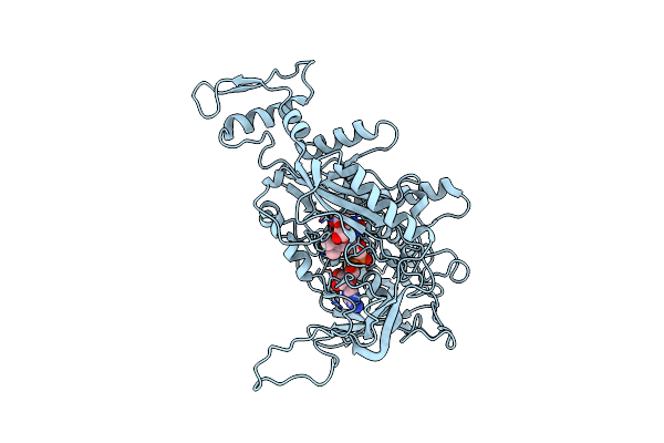 4MOF image