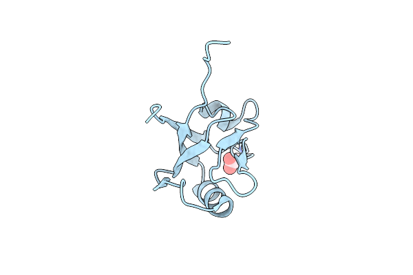 4MPA image