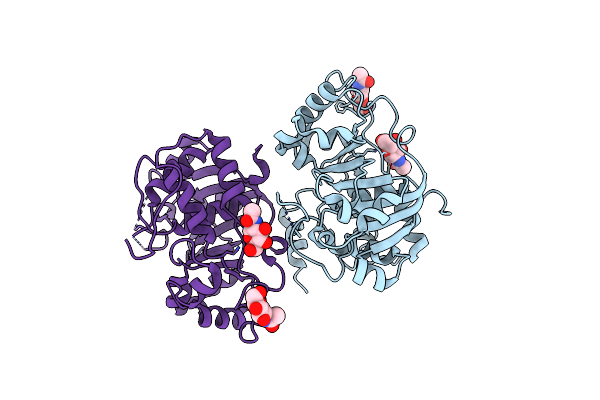4MPS image