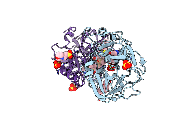 4MPX image