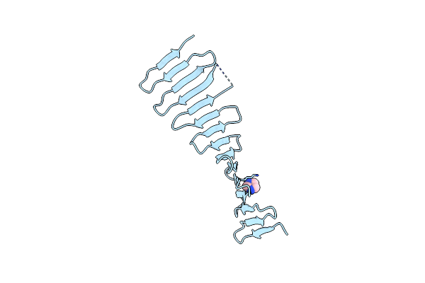 4MPZ image