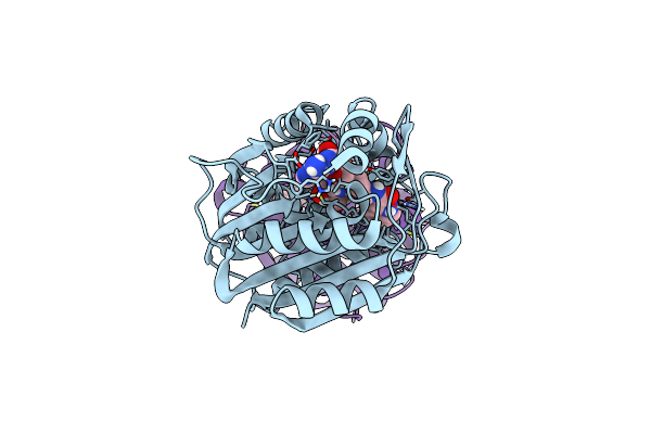 4MQ4 image