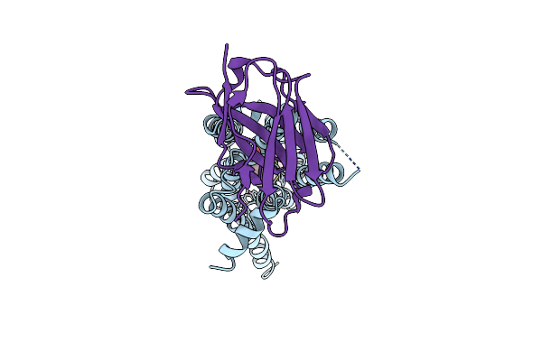 4MQT image