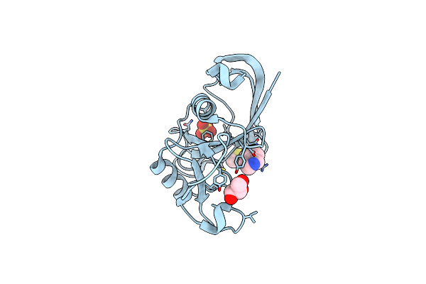 4MRF image