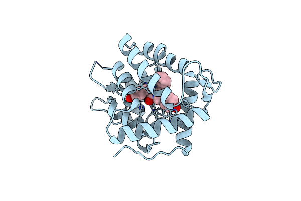 4MRX image