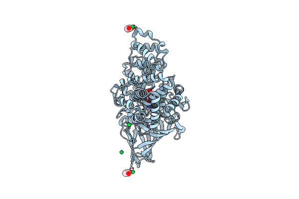 4MS6 image