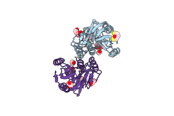 4MSD image