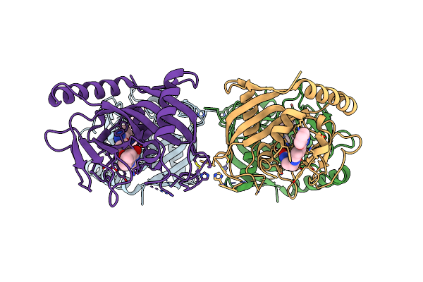 4MSK image