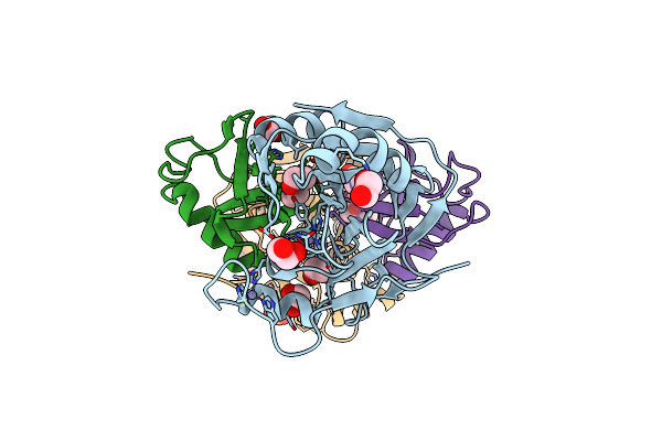4MSQ image