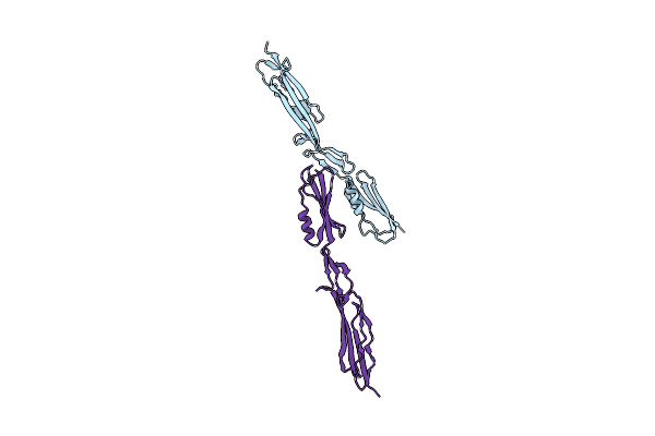 4MT5 image