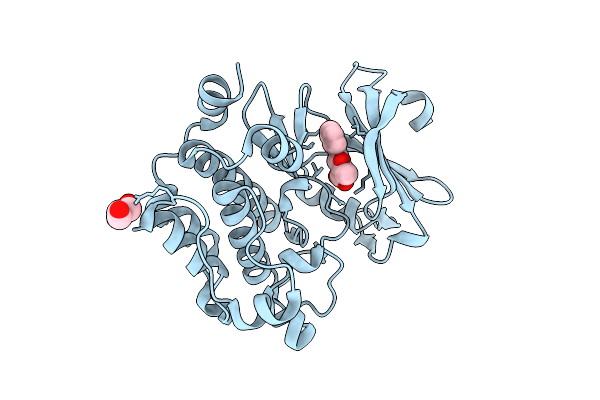 4MTA image