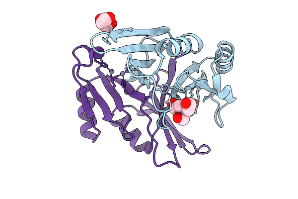 4MTT image