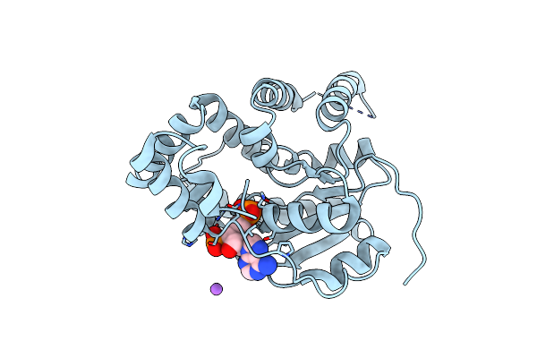 4MUA image