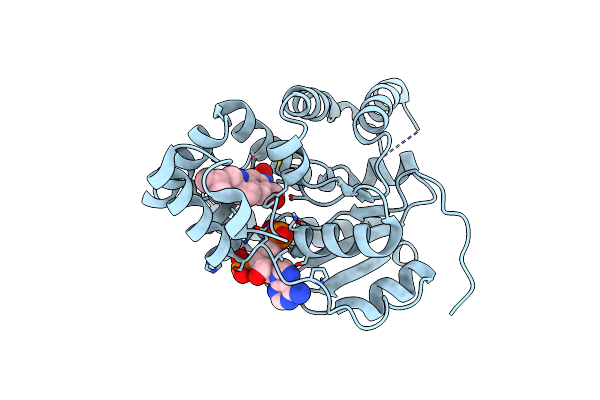 4MUB image