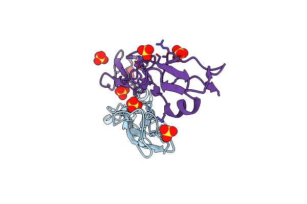4MUC image