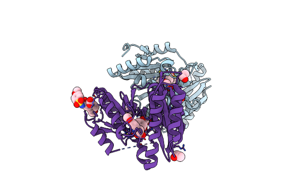 4MUI image