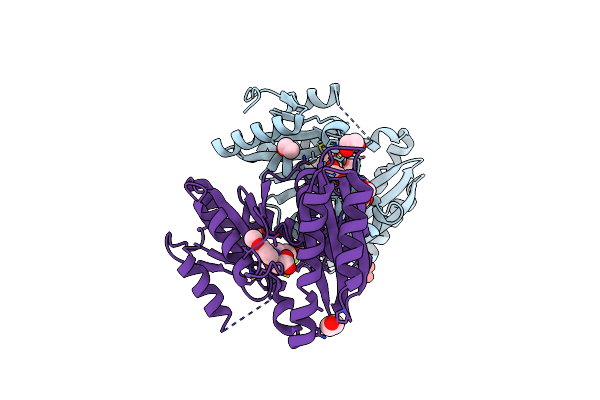 4MUK image