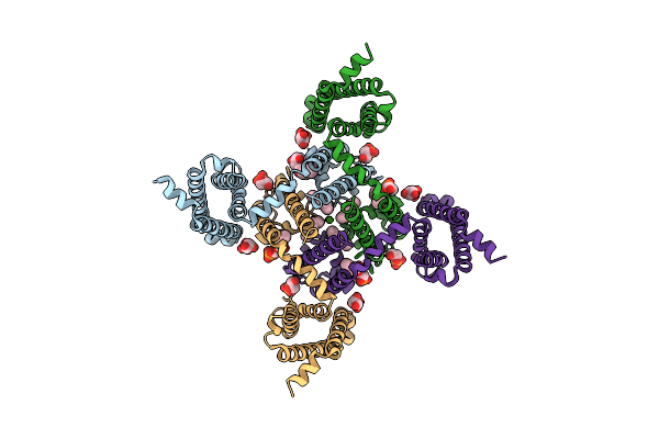 4MVM image