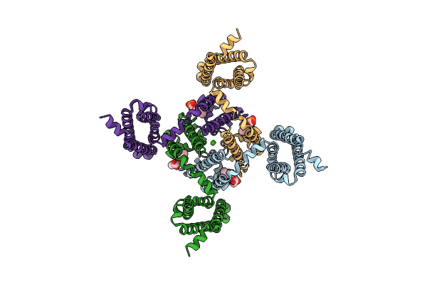 4MVO image