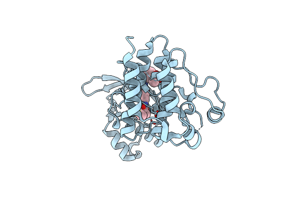 4MXC image